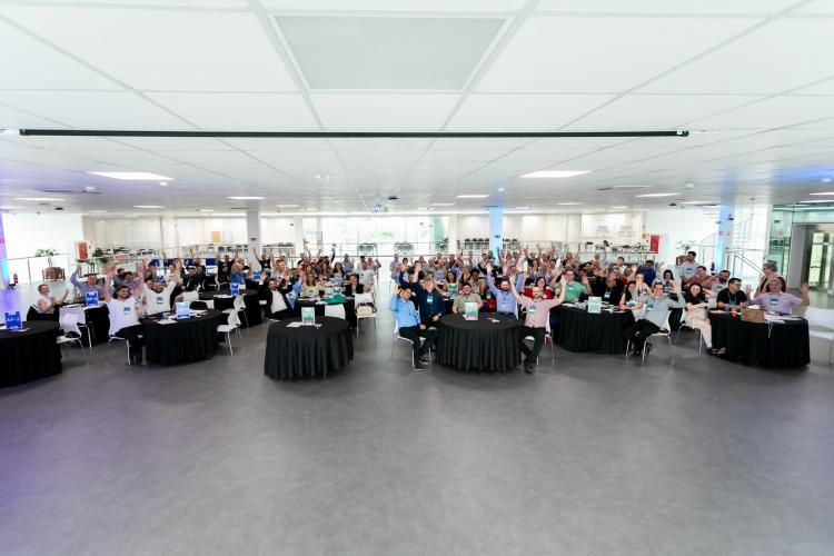 Novembro Estratégico